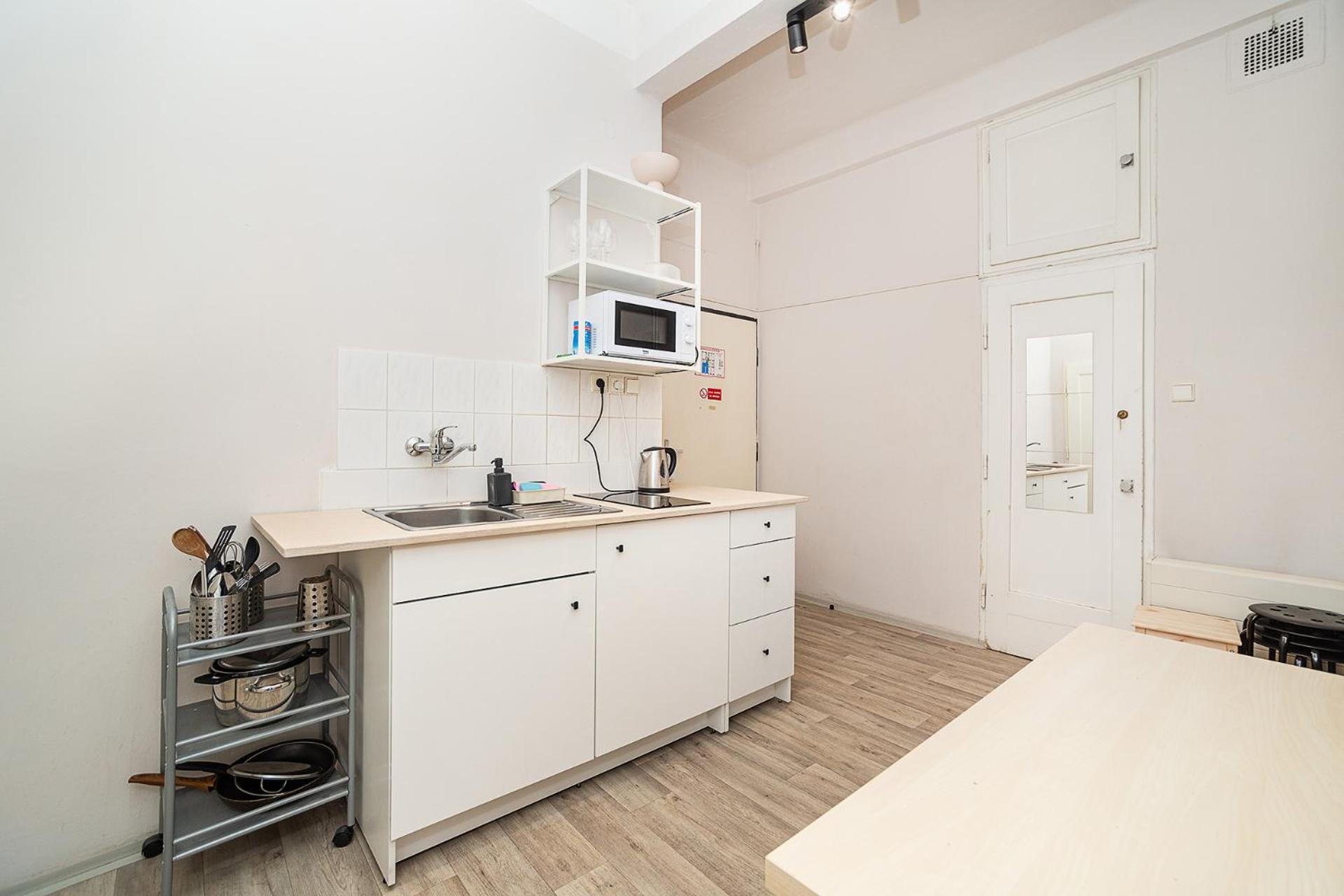 Apartment Flat In Zizkov -403-
